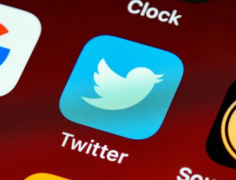 如何管理和运营多个Twitter账号？