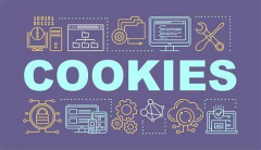 Cookies是什么？用途？在反检测上起到什么作用？