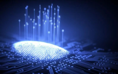 想要无限制的使用代理IP？比特指纹浏览器必不可少
