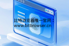 如何判断指纹浏览器的环境真实性？
