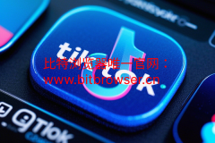 TikTok注册遇“访问过于频繁”？一键破局！