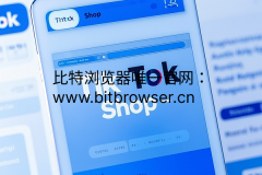 TikTok卖家提现遇阻？揭秘风控根源与高效解决方案