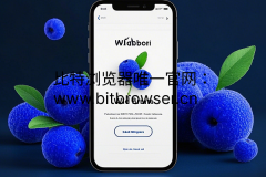Wildberries平台优势解析及安全入驻指南：中国卖家的跨境新机遇