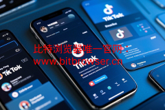 如何安全高效管理多个TikTok账号？云手机助你轻松实现矩阵运营
