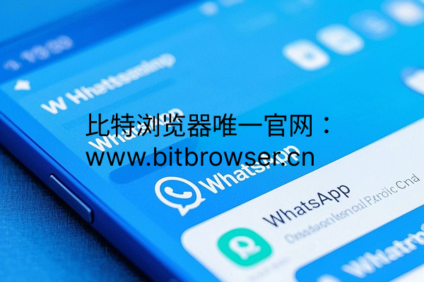 什么是WhatsApp直达广告？高效获客利器