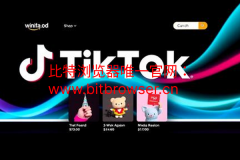 多地封禁TikTok，哪些地区仍是TikTok电商必争之地？