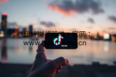 如何高效玩转TikTok One并保障账号安全？