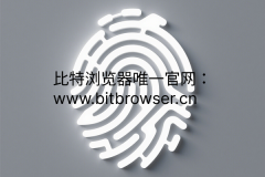 浏览器指纹内核深度解析，其如何实现多账号安全防关联？