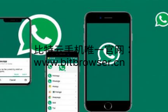 如何安全高效管理多设备WhatsApp账户？2025终极方案解析   