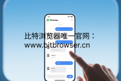 什么是WhatsApp直达广告？卖家必备工具