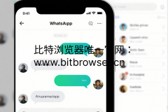 如何快速找回被封的WhatsApp账号，2025年最佳解决方案