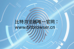 深度剖析指纹浏览器—Speech Voices浏览器指纹